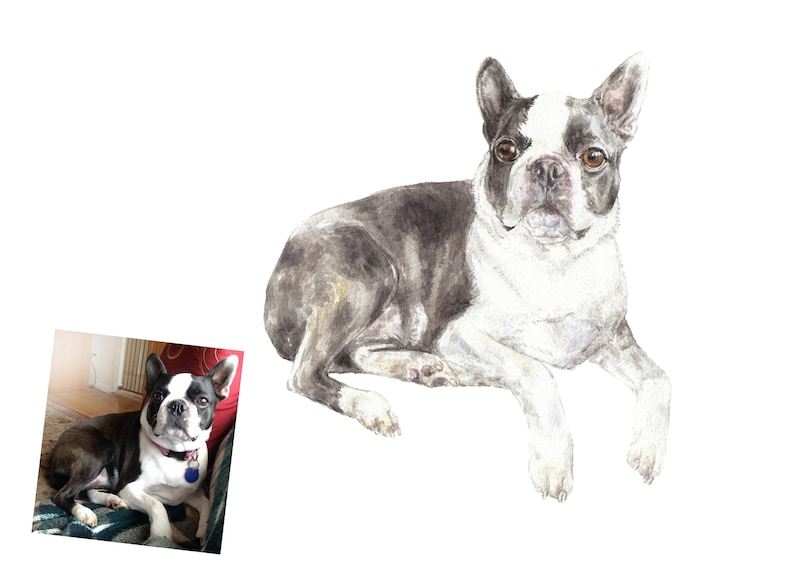 Smaller size 6 x 9 or 7 x 10 CUSTOM Watercolor Pet Portrait Original Painting Dog Cat or Animal