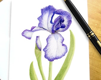 Purple Iris Watercolor Note Cards: Floral Stationery Set, Flower Gardener Gift