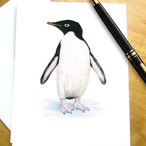 Penguin Card, Penguin Birthday Card, Adelie Penguin Watercolor Card, Penguin Greeting Card, Penguin Thank You Card, Penguin Thinking of You