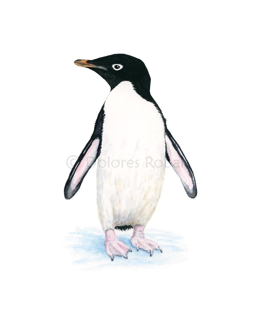 PENGUIN Painting Watercolor Penguin Print Penguin Watercolor Painting Penguin Art Penguin Gift Penguin Wall Art Penguin Decor