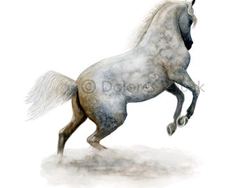 ARABIAN HORSE ART, Horse Painting, Watercolor Horse Print, Dapple Gray Arabian Horse, Dappled Grey Horses, Arabian Horse Painting, Horse Art