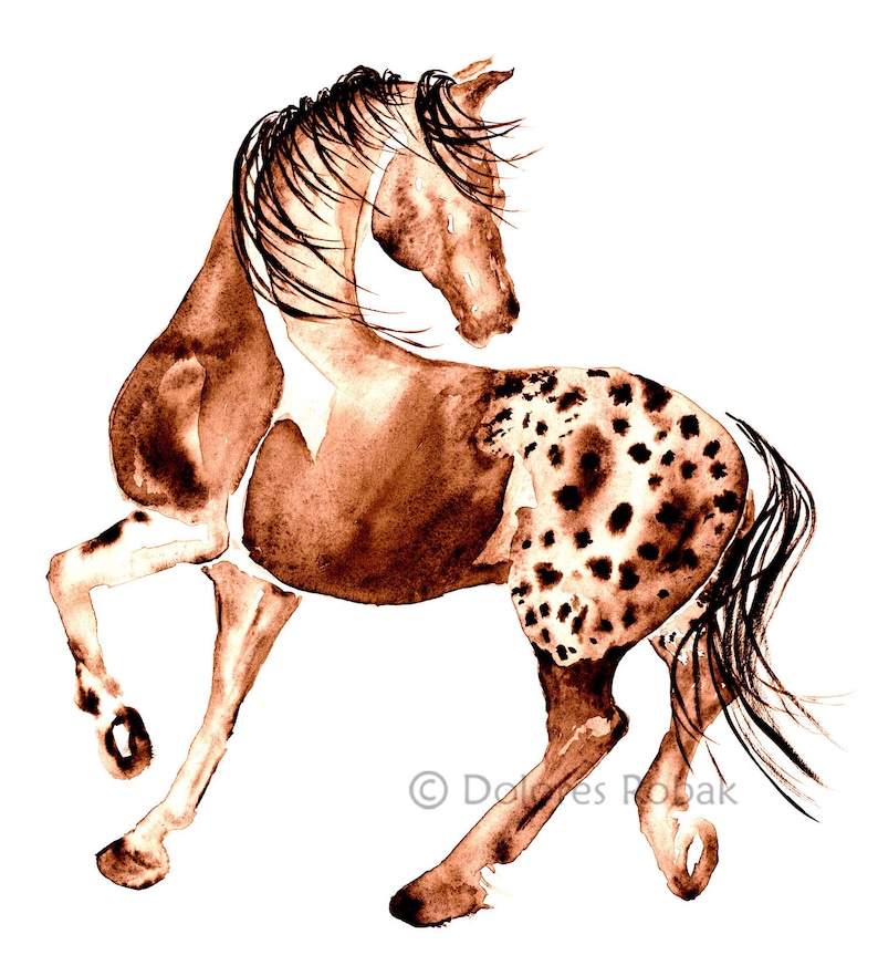 APPALOOSA Horse Art Horse Painting Appaloosa Watercolor Etsy