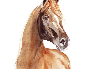 CHESTNUT ARABIAN HORSE Art, Watercolor Horse, Giclee Print of Original Arabian Horse Painting by Dolores Robak, Arabian Horse Portrait