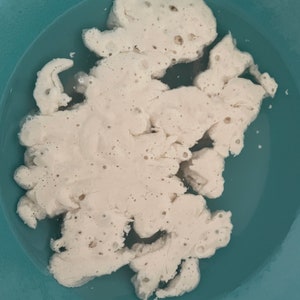 Sourdough Starter SUPER Active Biodynamic, Dry starter with instructions and recipes image 9