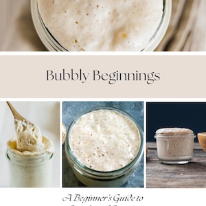 Op de afbeelding: Drie glazen potten met een bubbelende, witte zuurdesemstarter. De tekst "Bubbly Beginnings" staat bovenaan de afbeelding. De tekst "A Beginner's Guide to Sourdough Starter" staat onder de potten. De tekst "LETICIA BAKER & HOLLIE MONGAN" staat onderaan de afbeelding.