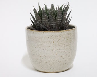 Plant Pot  - Toasted White Vase - Handmade Ceramic planter - Succulent, cacti, small indoor plants - Pottery planter - warm spotted brown