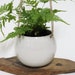 see more listings in the Hanging Planters & Pots section