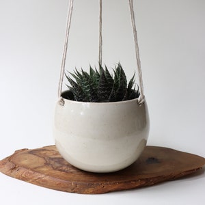 May include: A cream ceramic hanging planter with a small succulent plant. The planter is suspended by three off-white cords. The plant sits on a natural wood slice, creating a minimalist, modern aesthetic.