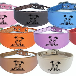 Italian Greyhound Whippet Collar Greyhound Sighthound Leather Padded Backing D44