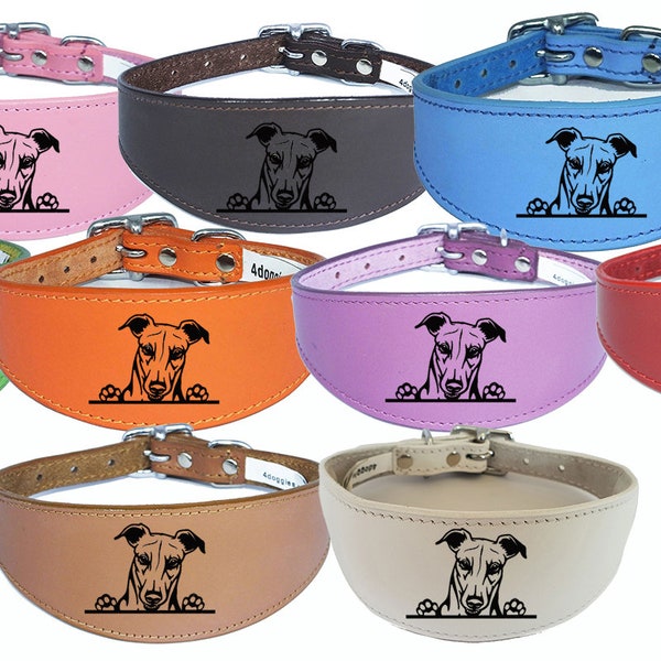 Italian Greyhound Whippet Collar Greyhound Sighthound Leather Padded Backing D44