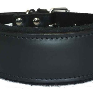 May include: Black leather dog collar with a padded lining. The collar has a silver buckle and is stitched with a contrasting thread.