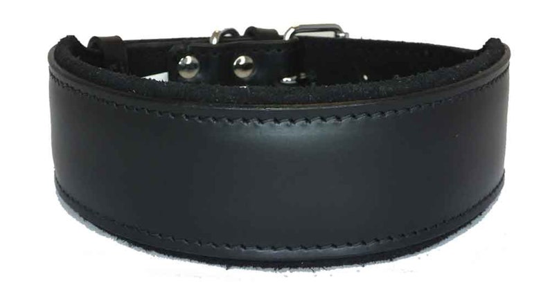 May include: Black leather dog collar with a padded lining. The collar has a silver buckle and is stitched with a contrasting thread.
