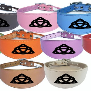 Collier de chien En cuir Greyhound Collar Whippet Collier rembourré Support Laser Gravé D7