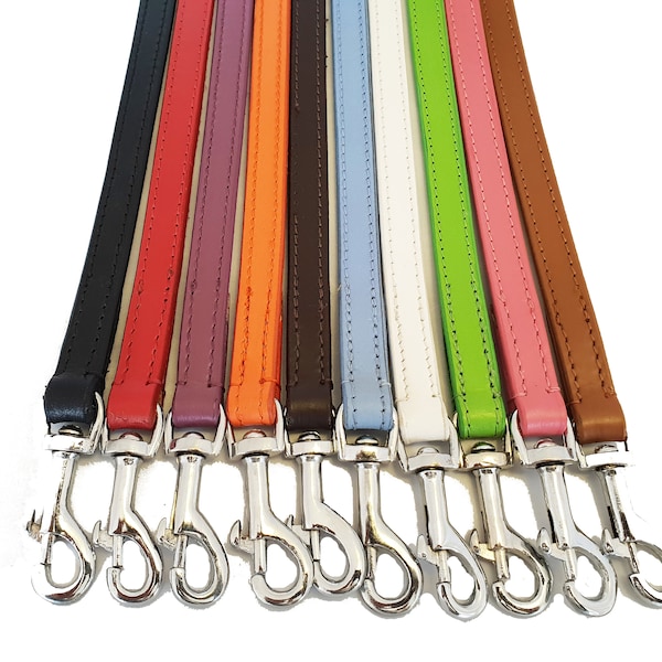 Laisses en cuir pour chien, 140 cm de Long et 2 cm de large, laisse longue et solide pour chien