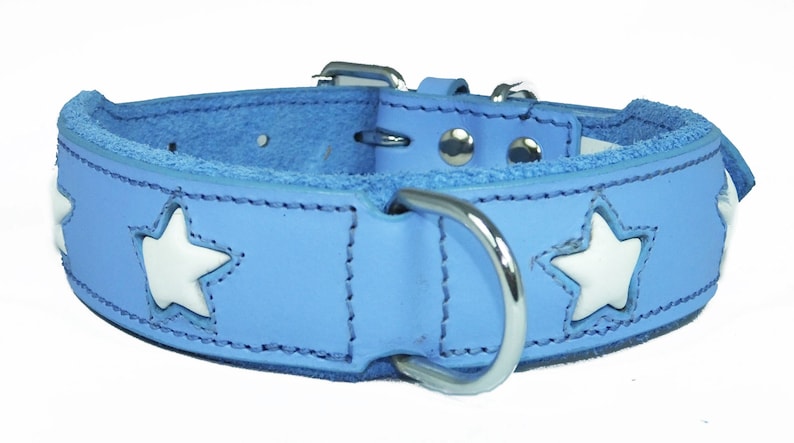 May include: A light blue leather dog collar with white star cutouts. The collar has a silver buckle and a silver D-ring.
