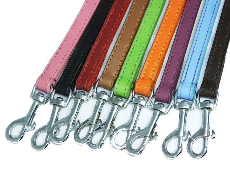 May include: Nine leather dog leads in various colours, including pink, black, red, brown, green, orange, purple, blue, and brown, with silver swivel clips.