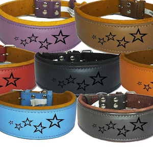 Leather Staffordshire Bull Terrier Dog Collars Staffy Bulldog Padded collar D2