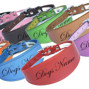 May include: A selection of leather dog collars in various colours, including black, pink, brown, yellow, green, orange, blue, and red. Each collar features a silver buckle and is engraved with the text "Dogs Name".