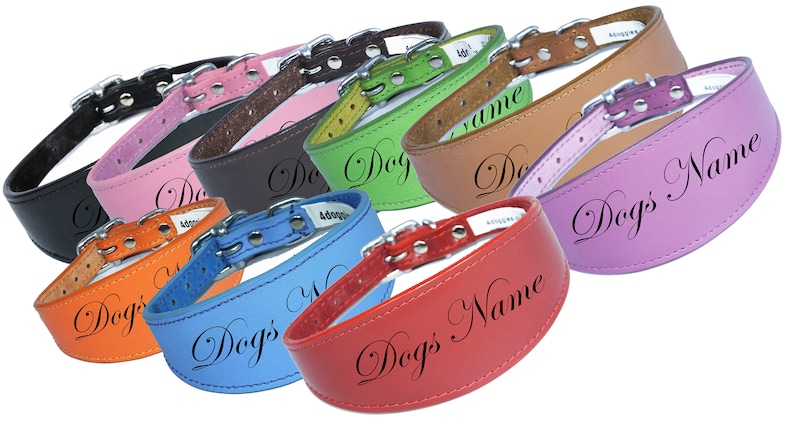 May include: A selection of leather dog collars in various colours, including black, pink, brown, yellow, green, orange, blue, and red. Each collar features a silver buckle and is engraved with the text "Dogs Name".