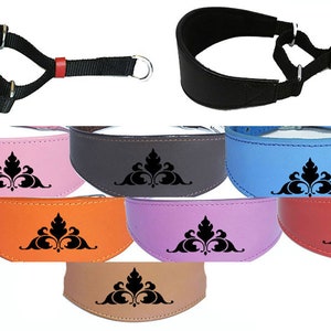 Leather Dog Collar Padded Suede Backing Greyhound Whippet Hound Martingale D1