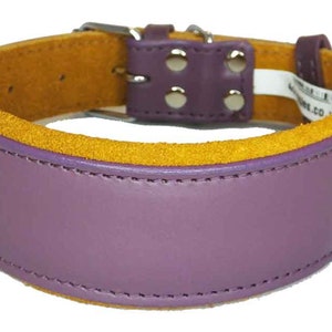 May include: A purple leather dog collar with a yellow suede lining. The collar has a silver buckle and rivets.