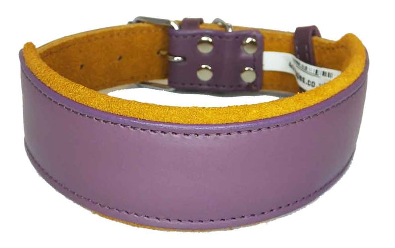 May include: A purple leather dog collar with a yellow suede lining. The collar has a silver buckle and rivets.