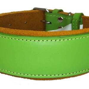 May include: A green leather dog collar with a brown suede lining. The collar has a silver buckle and stitching around the edges.