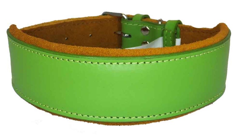 May include: A green leather dog collar with a brown suede lining. The collar has a silver buckle and stitching around the edges.