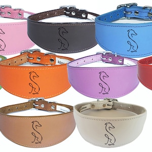 Italian Greyhound Whippet Collar Greyhound Sighthound Leather Padded Backing D42