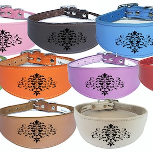 Italian Greyhound Collar Whippet Collar Greyhound Collar Padded Backing Dog Collar Engraved D20