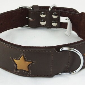 May include: Brown leather dog collar with gold star accents and a silver buckle. The collar has a D-ring for attaching a lead.