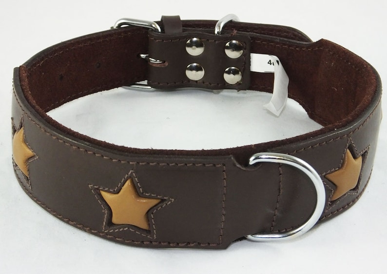 May include: Brown leather dog collar with gold star accents and a silver buckle. The collar has a D-ring for attaching a lead.
