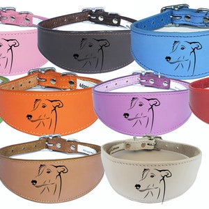 Italian Greyhound Whippet Collar Greyhound Sighthound Leather Padded Backing D40