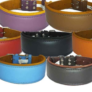 May include: Ten leather dog collars in various colors, including green, purple, brown, pink, red, black, orange, blue, gray, and tan. The collars are all made of thick leather and have a stitched edge.