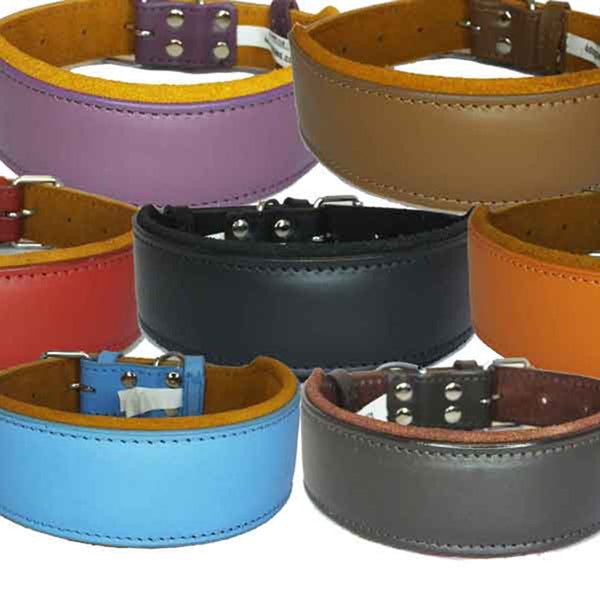 Leather Dog Collar Staffy Staffordshire Bull Terrier Bulldog 6 Sises 9 Colours