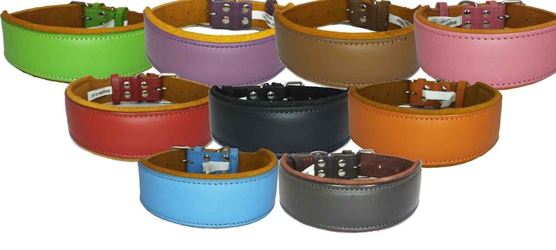 May include: Ten leather dog collars in various colors, including green, purple, brown, pink, red, black, orange, blue, gray, and tan. The collars are all made of thick leather and have a stitched edge.