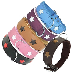 May include: Five leather dog collars with star designs in different colours, including black, pink, brown, tan, and blue.