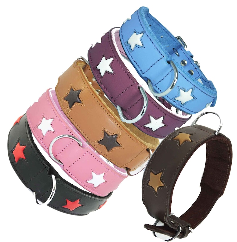 May include: Five leather dog collars with star designs in different colours, including black, pink, brown, tan, and blue.