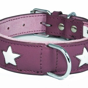May include: A purple leather dog collar with white star cutouts and a silver buckle.