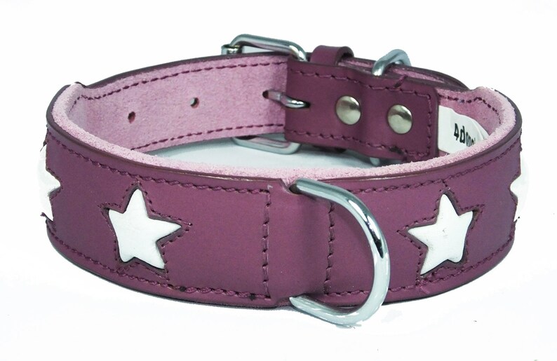 May include: A purple leather dog collar with white star cutouts and a silver buckle.
