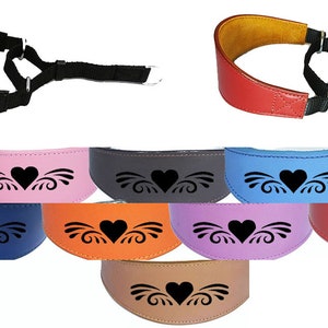 Leather Dog Collar Padded Suede Backing Greyhound Whippet Hound Martingale D4