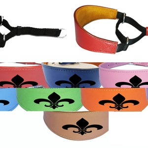 Leather Dog Collar Padded Suede Backing Greyhound Whippet Hound Martingale D9