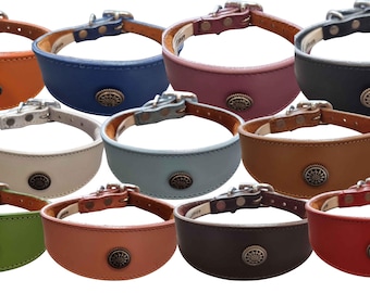 Leren halsband voor Whippet Greyhound Lurcher decoratief stud ontwerp DS 3
