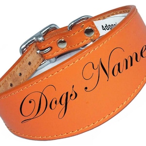 May include: Orange leather dog collar with a silver buckle and the text "Dog's Name" engraved in black.