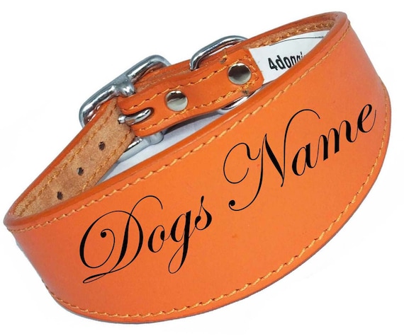 Orange Laser Engraved Personalised Name Dog Collar Leather Dog Collar For Whippets, Greyhounds