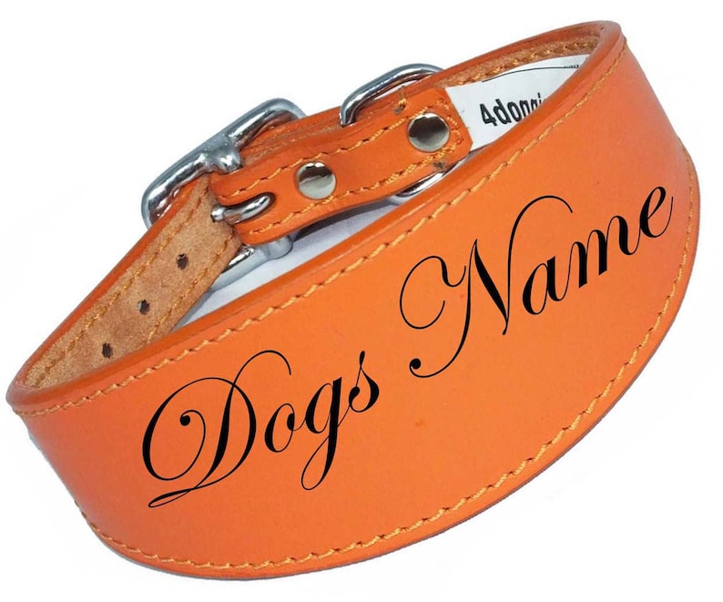 May include: Orange leather dog collar with a silver buckle and the text "Dog's Name" engraved in black.