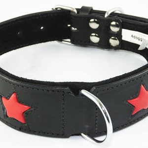 May include: Black leather dog collar with red star accents and a silver buckle and D-ring.