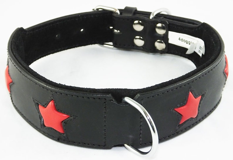 May include: Black leather dog collar with red star accents and a silver buckle and D-ring.
