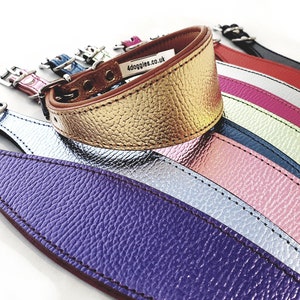 Luxury Foil Leather Dog Collar For Italian Greyhound whippet Sighthound Greyhound