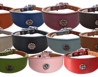Iggy, Whippet, Greyhound, Lurcher Leren Halsband Decoratief Stud Design DS 4